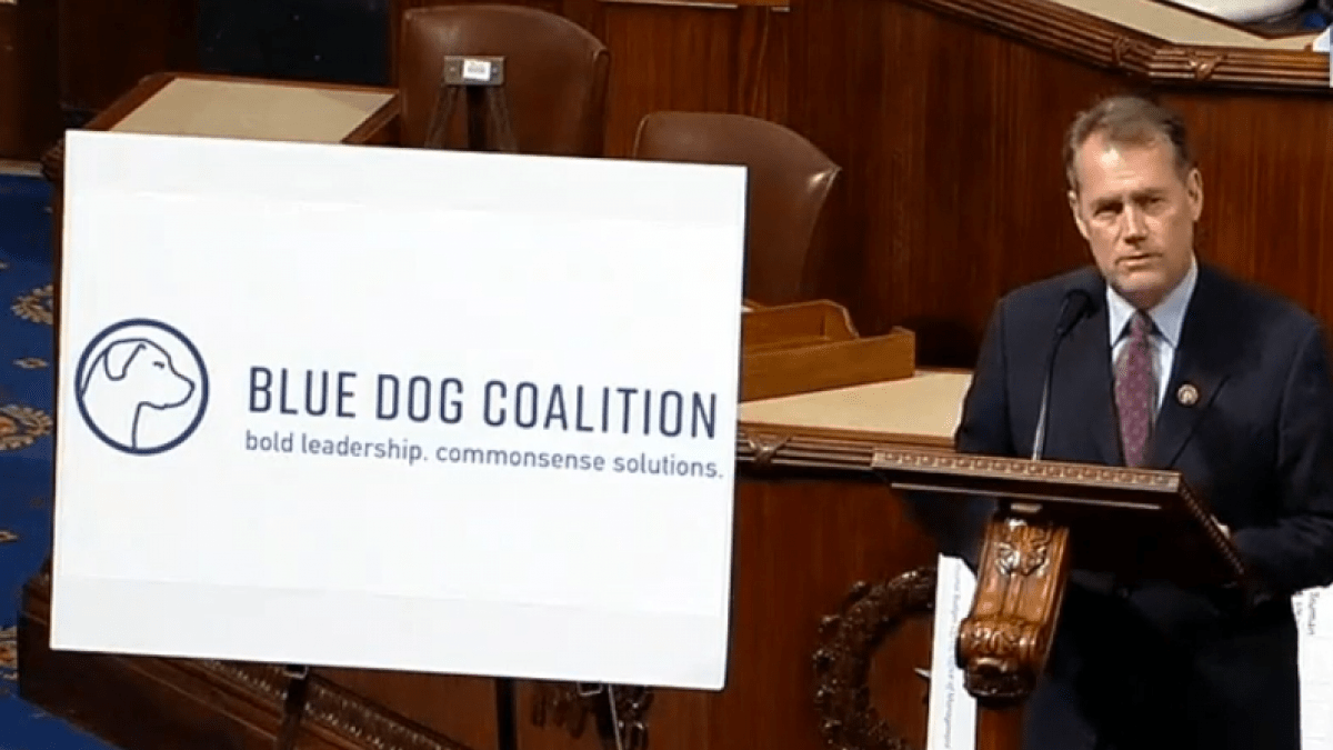 Blue DogAffiliated site Blurs Line Between Newsroom and Political