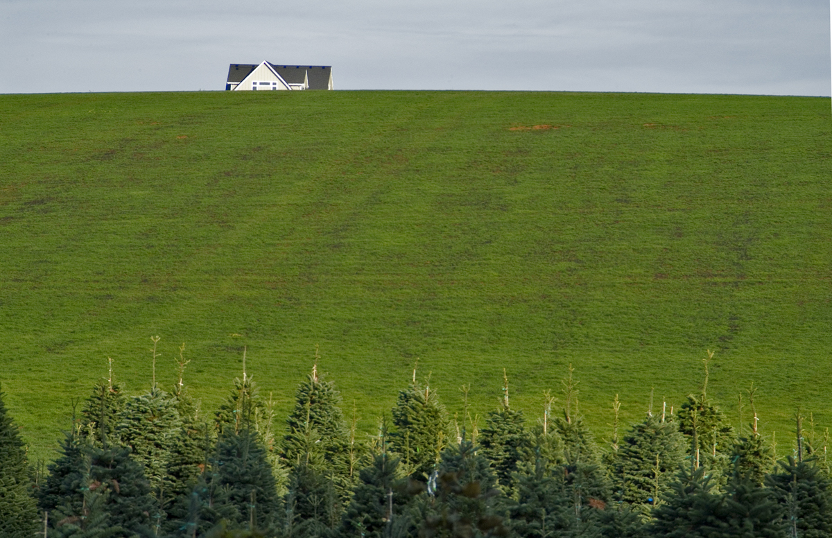 Planning For A Future Protecting The Ground — Read The Dirt