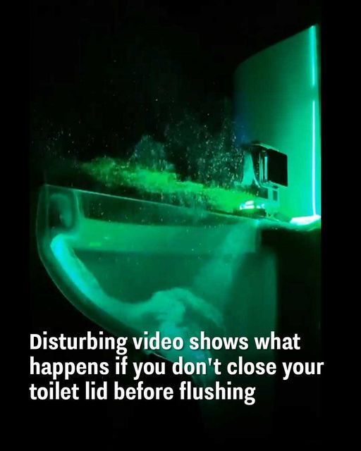 What Are These Black Circular Devices on the Trunk of This Car? A