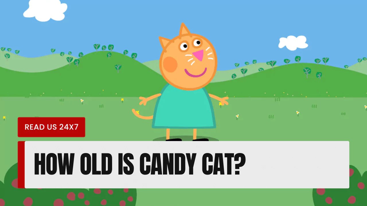 How Old Is Candy Cat? (Revealed)