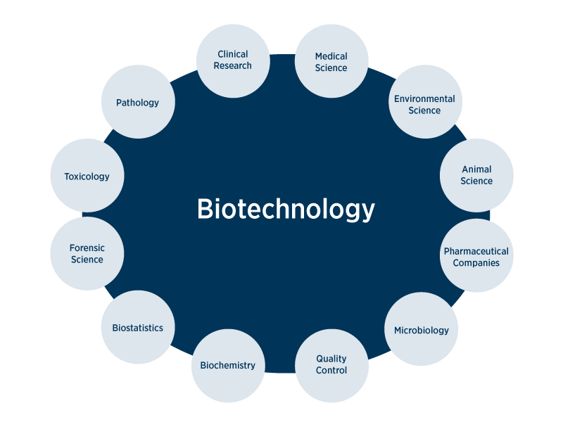 Biotechnology Benefits and Risks at a Glance