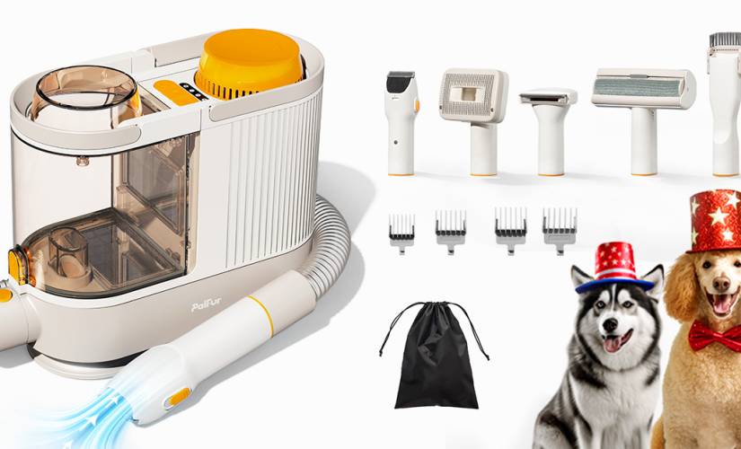 Best Pet Grooming Kit in 2023 Palfur IN01 ReadWrite
