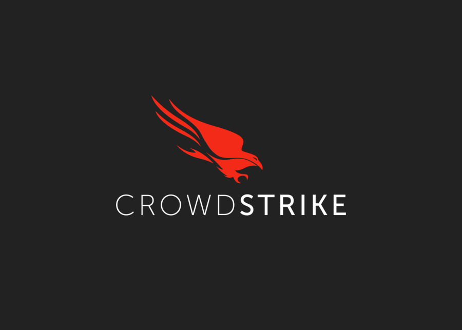 CrowdStrike earnings stock falls despite beating expectations
