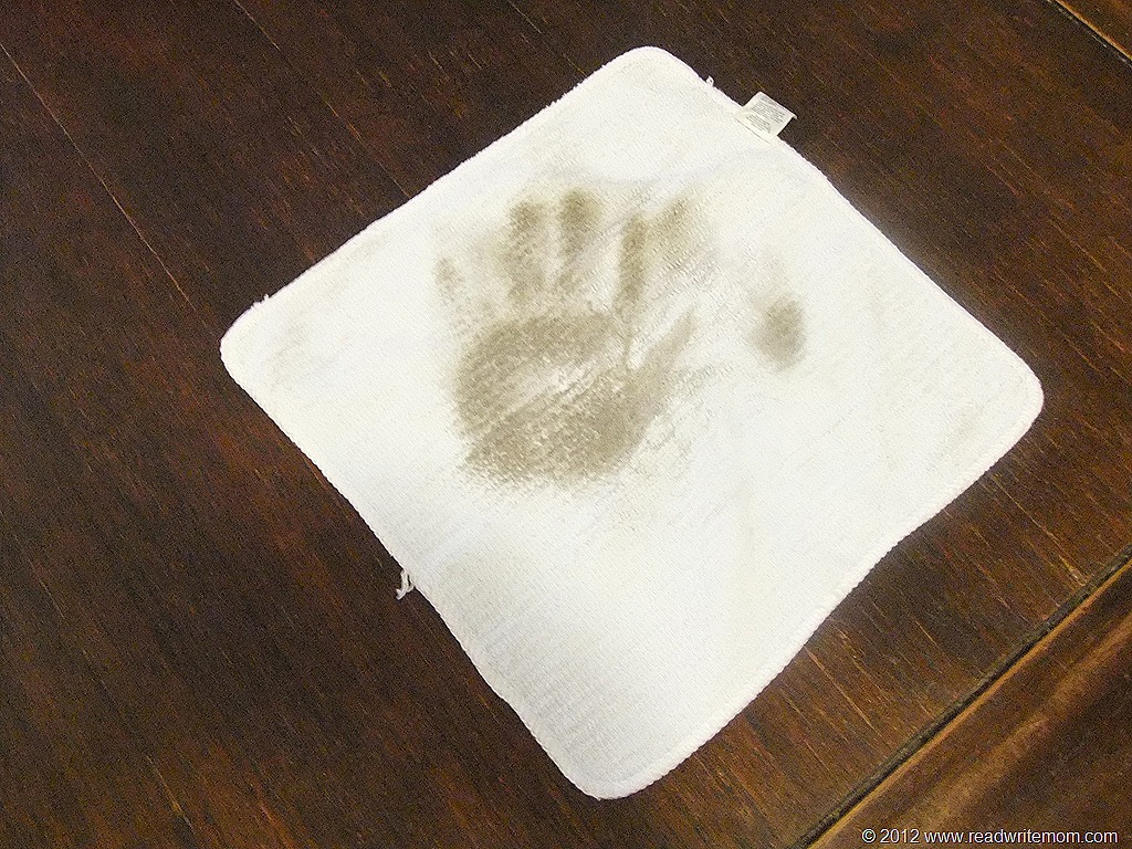 Guardsman Furniture Care