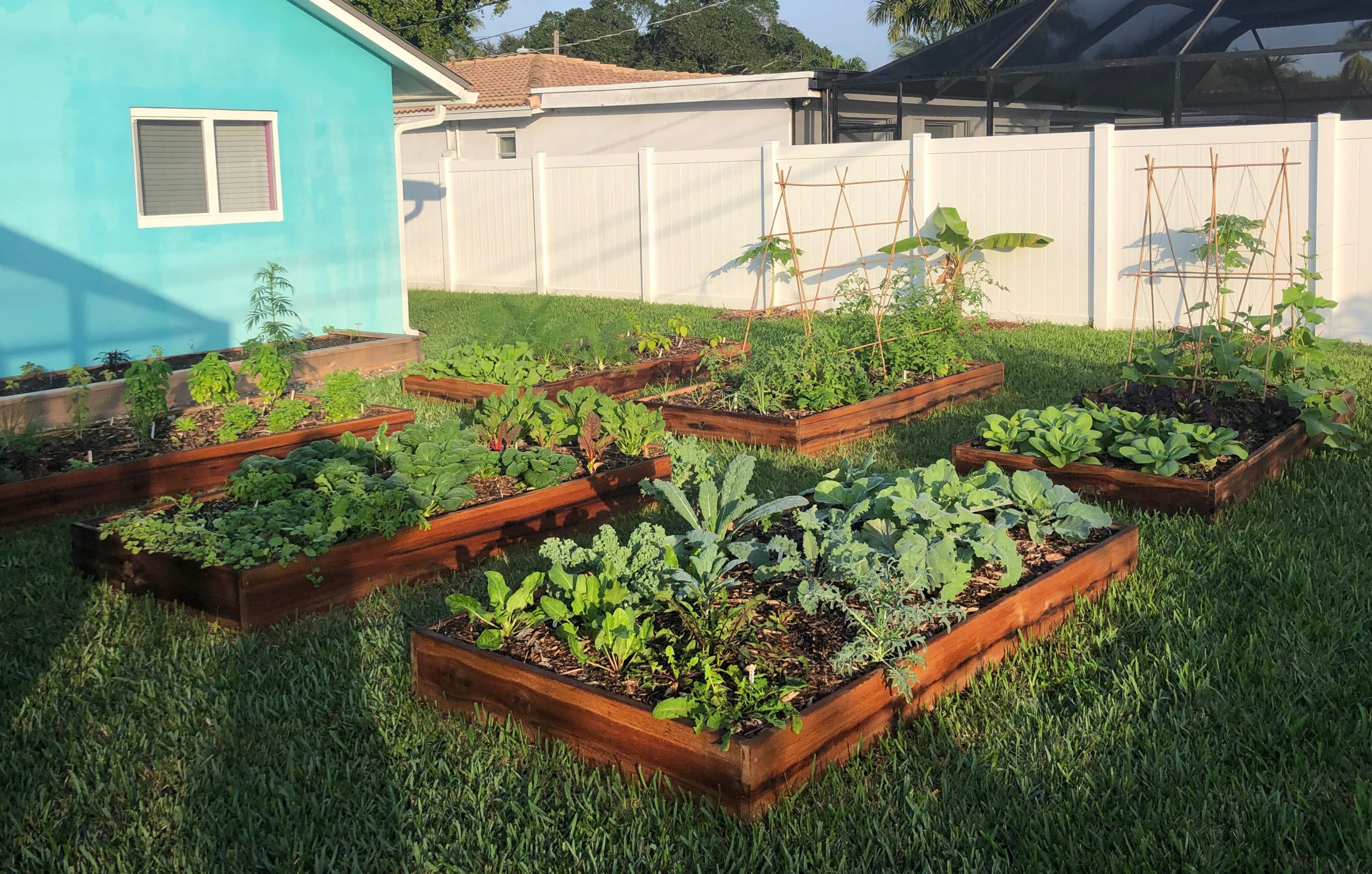 Raised Bed Gardens in Miami for growing vegetables herbs South Florida