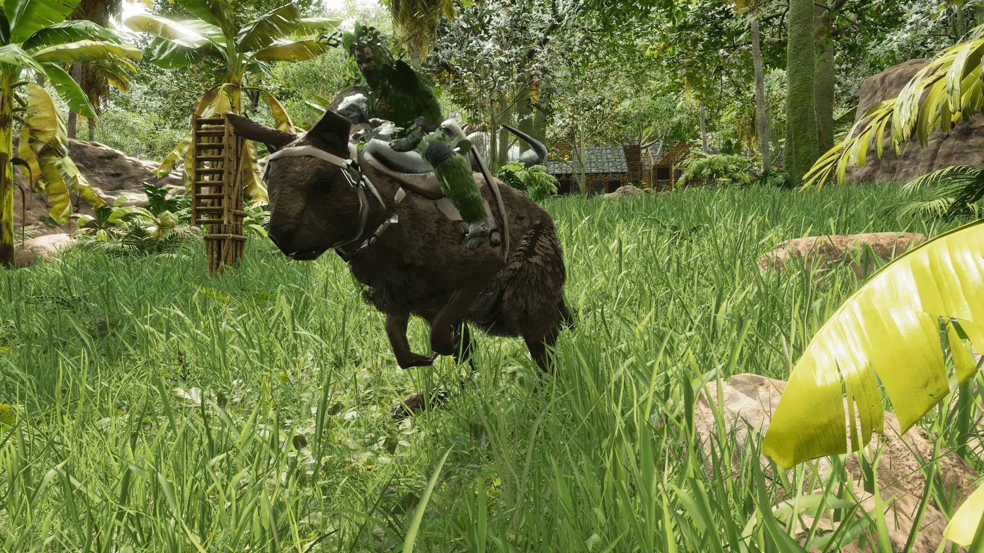 Ark Survival Ascended Procoptodon Guide The Only Nanny You'll Need