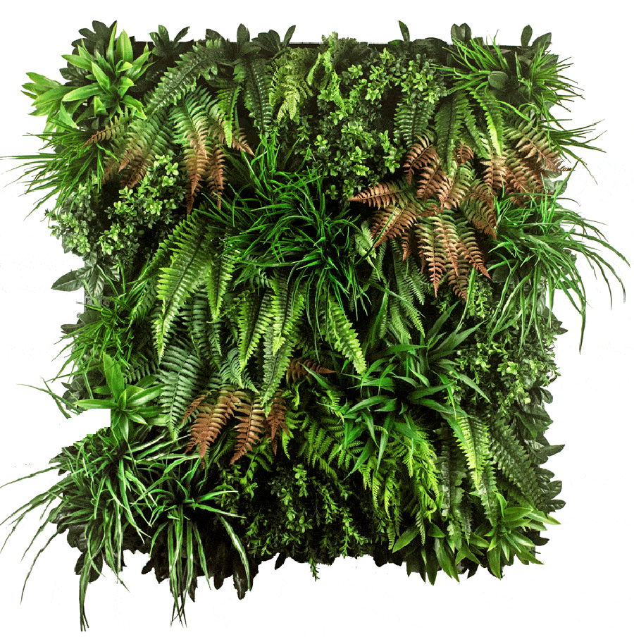 Custommade Vertical Garden Forest Ferns ReadyLeaf