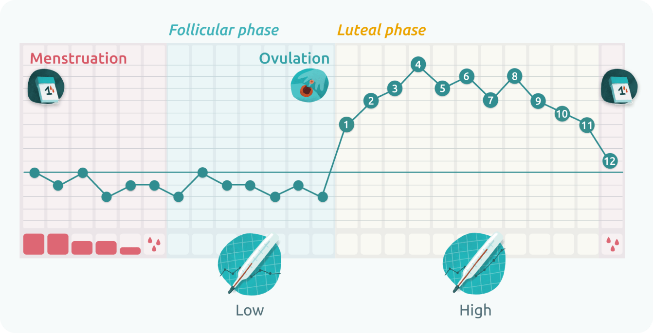 Temperature Read Your Body