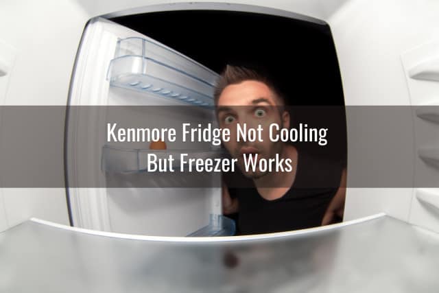 Kenmore Fridge Not Working/Cooling Ready To DIY