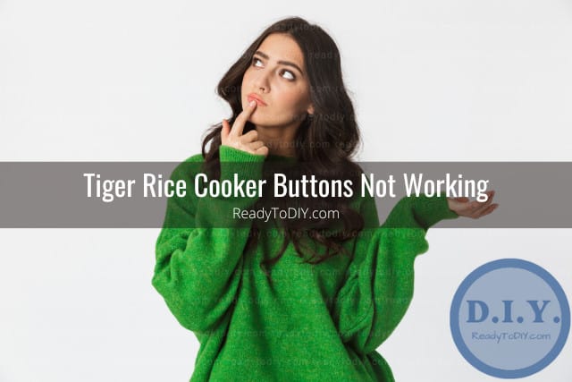 Tiger Rice Cooker Troubleshooting (How to Fix/Reset) - Ready To DIY