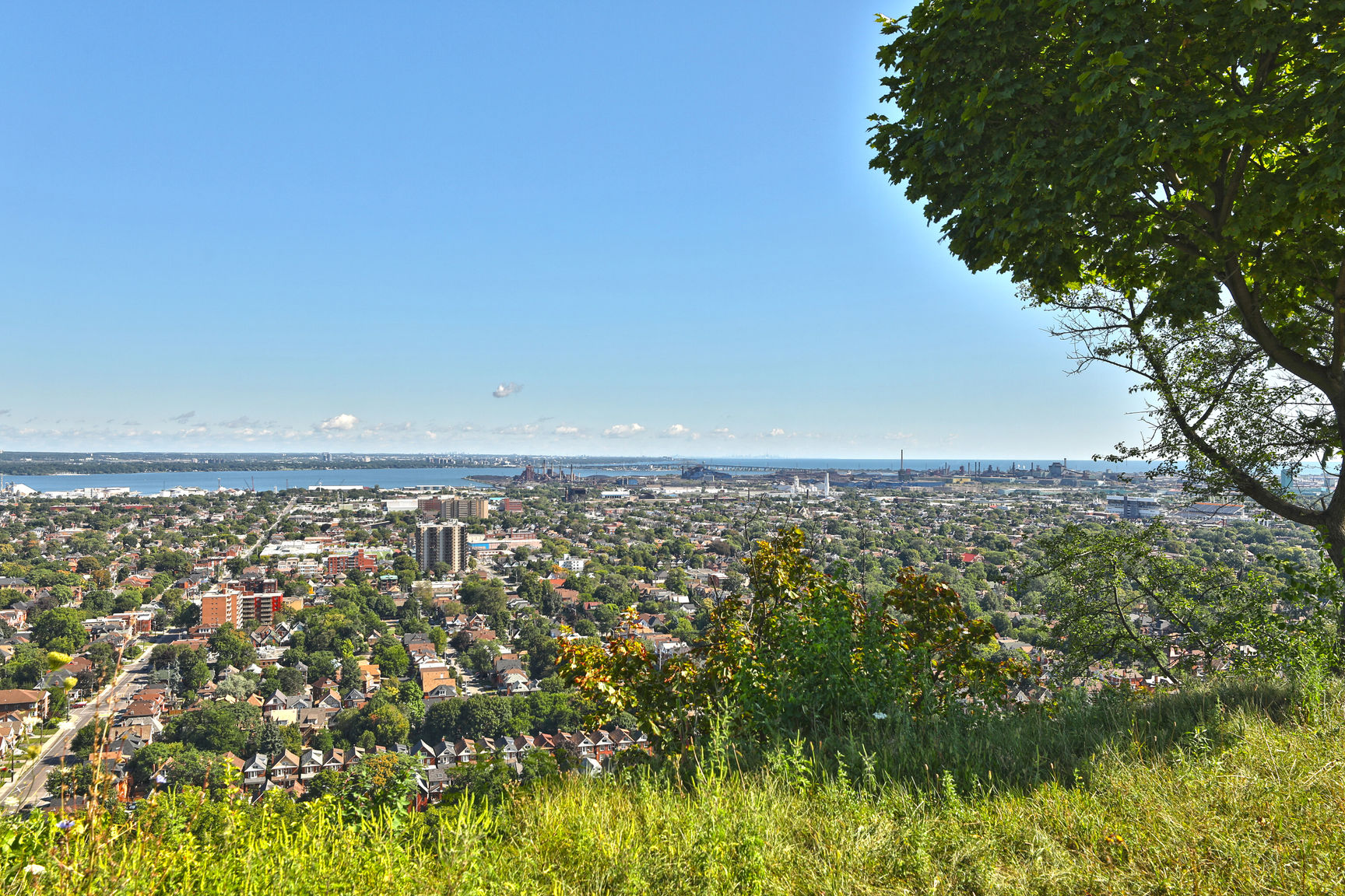Homes For Sale & Neighbourhood Info Exploring Hamilton’s Central