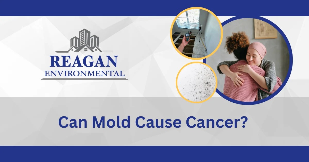 Can Mold Cause Cancer? By Reagan Environmental