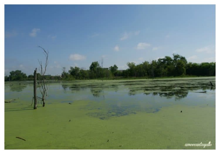 The Best Guide To Visiting Lafayette Indiana For Families Real Advice Gal