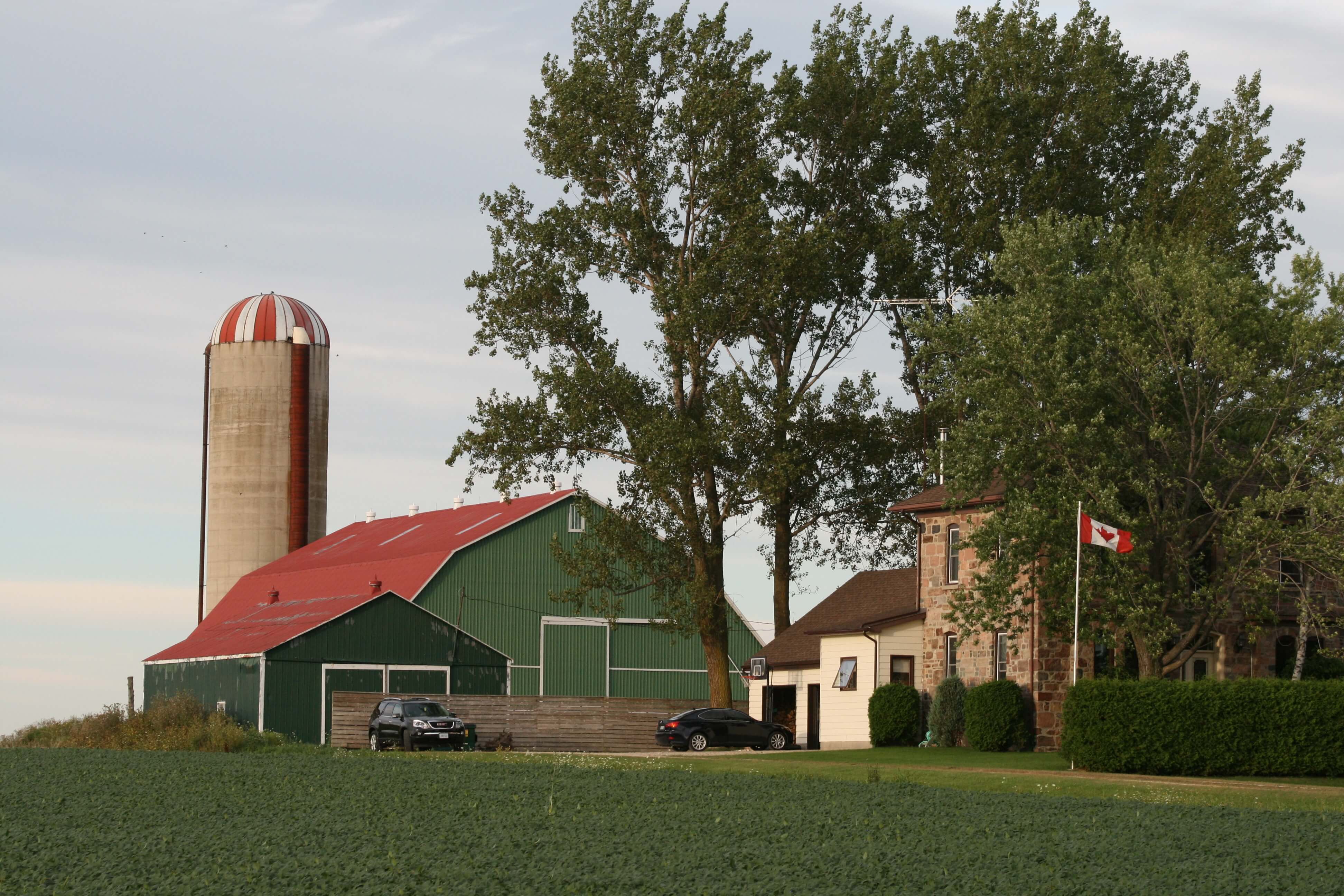 What Alberta Will Learn From Ontario Eventually RealAgriculture