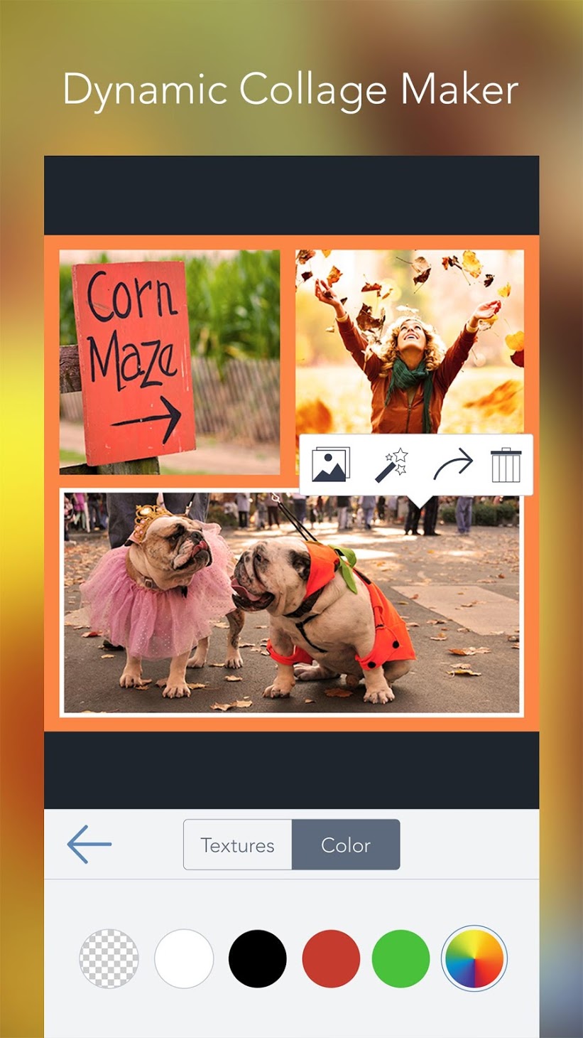 Photo Editor by BeFunky Apk Mod v6.2.8 All Unlocked