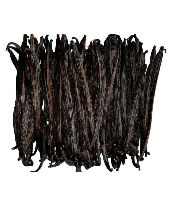 Vanilla Beans for Sale B Grade 15 cm Real Ceylon Cinnamon