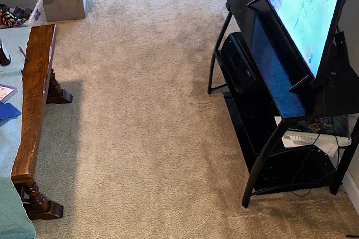 Home Real Clean Carpet Care