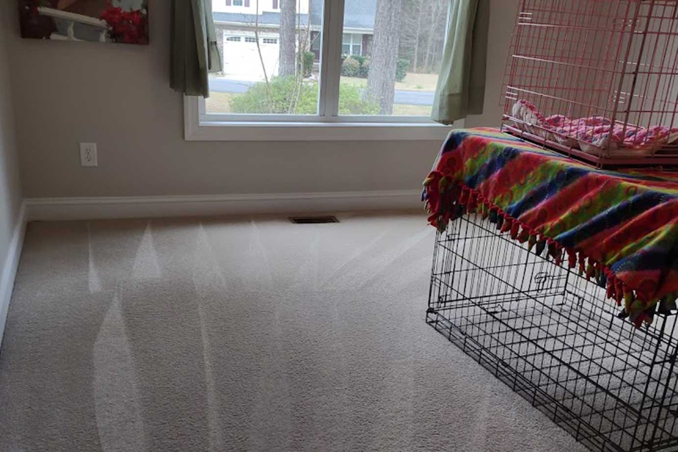 Home Real Clean Carpet Care