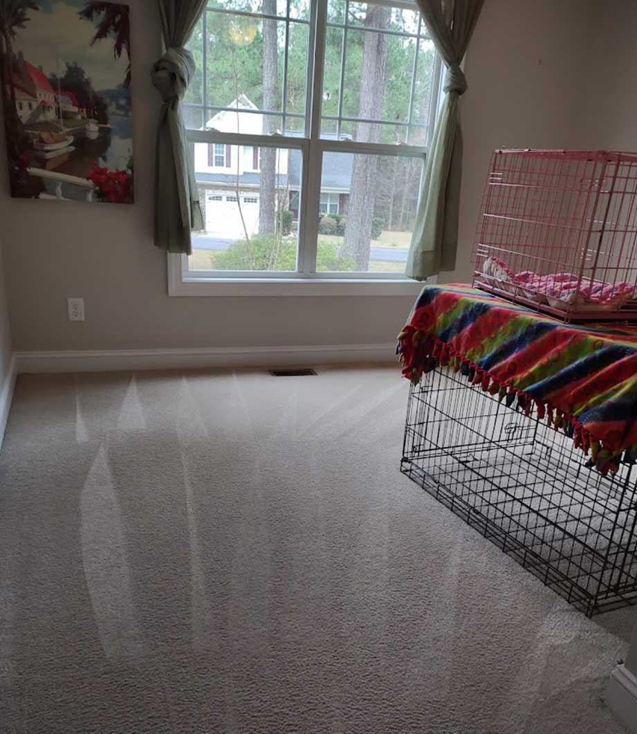 Real Clean Carpet Care Carpet Cleaning Fayetteville NC