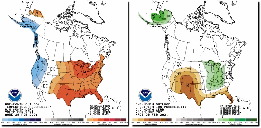 Climate Forecasting Real Climate Science