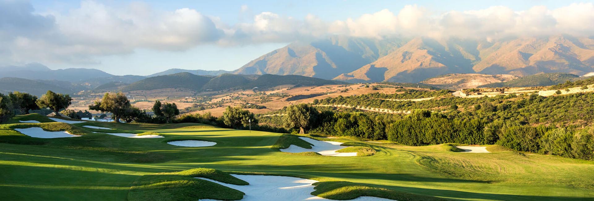 SEARCH Real Deal Estates