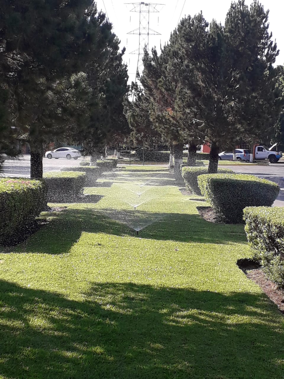 13 Fraccionamiento Real del Bosque, A. C.