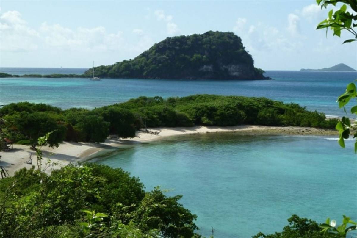 Campbell Beach Estate For Sale aaalwm