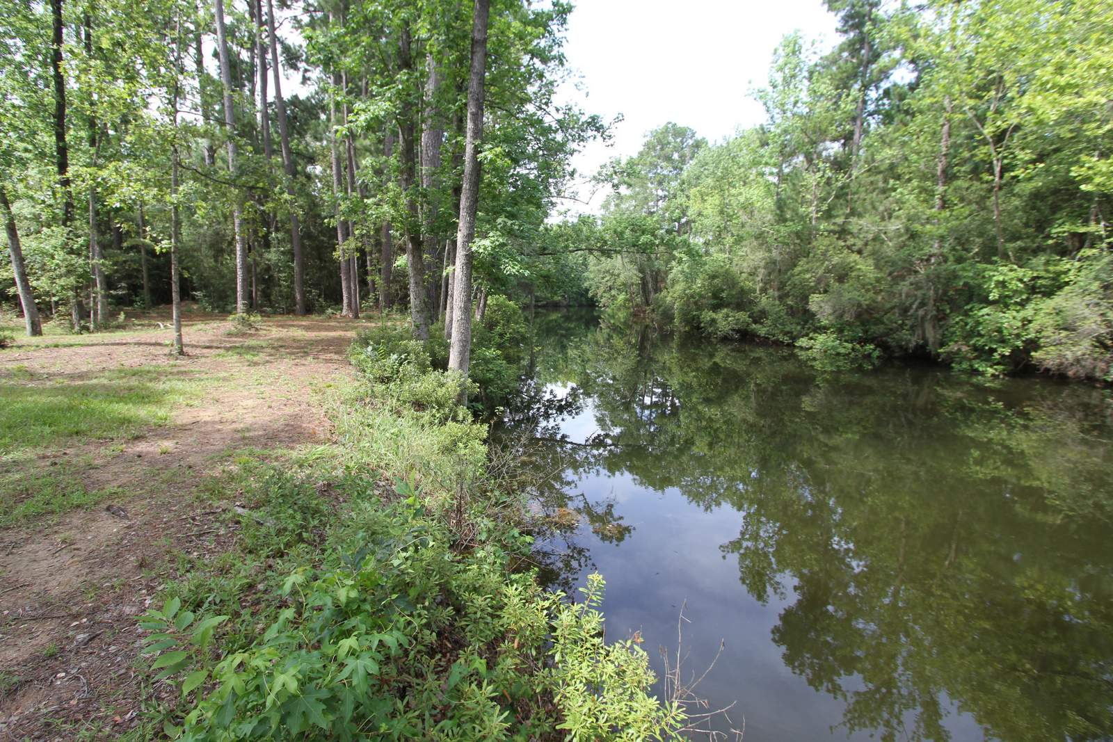 93 Rabbit Ridge Artesian Lakes Real Estate