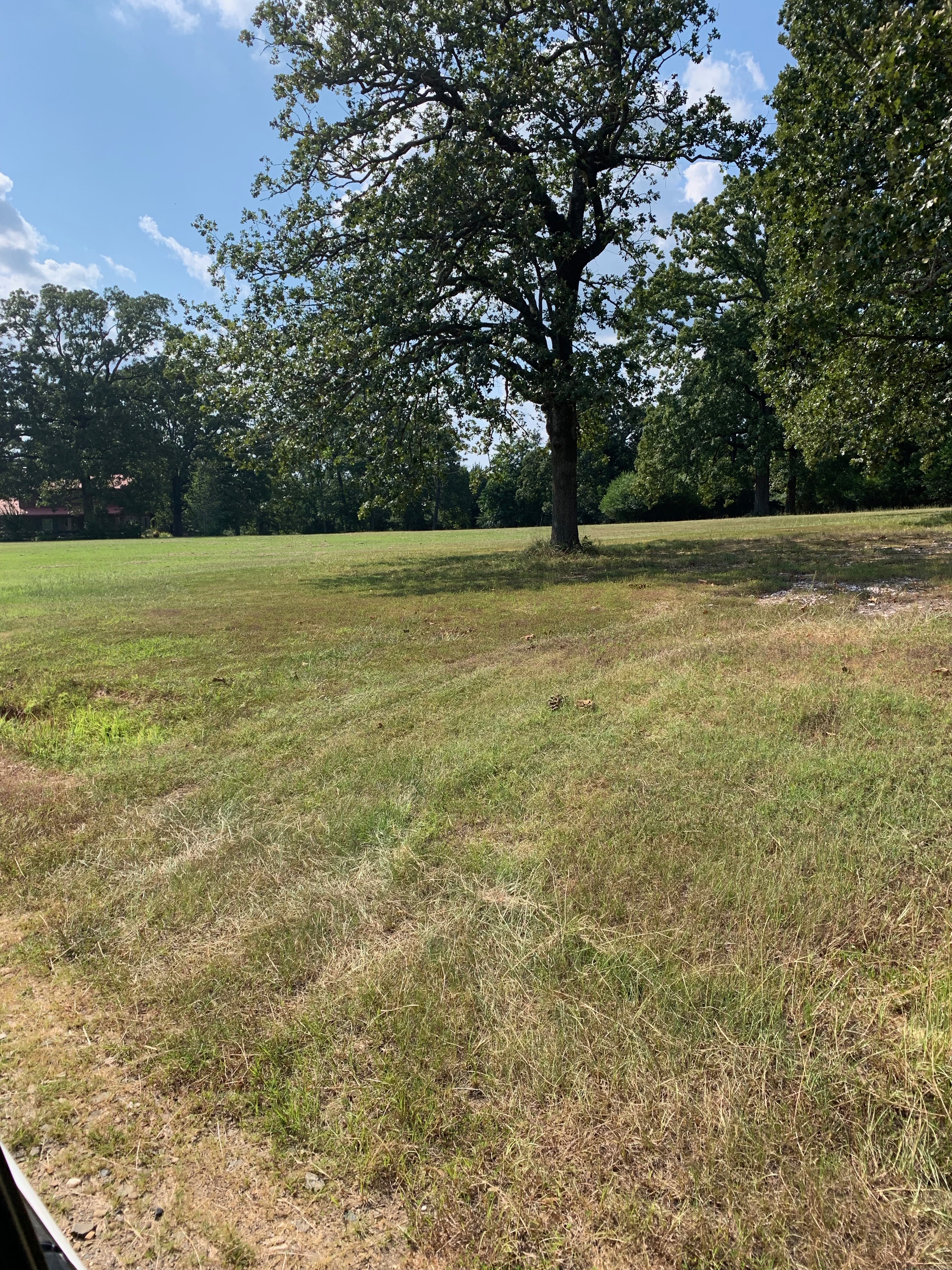 22 acres of Prime Land Broken Bow Real Estate