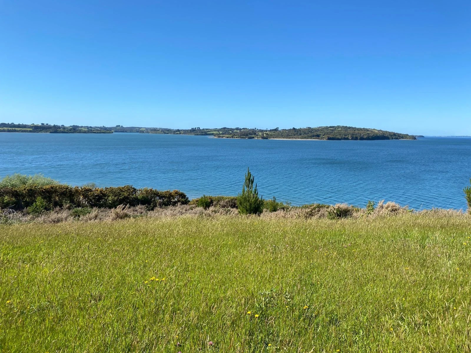 Cierre Perimetral Real Estate Chiloé