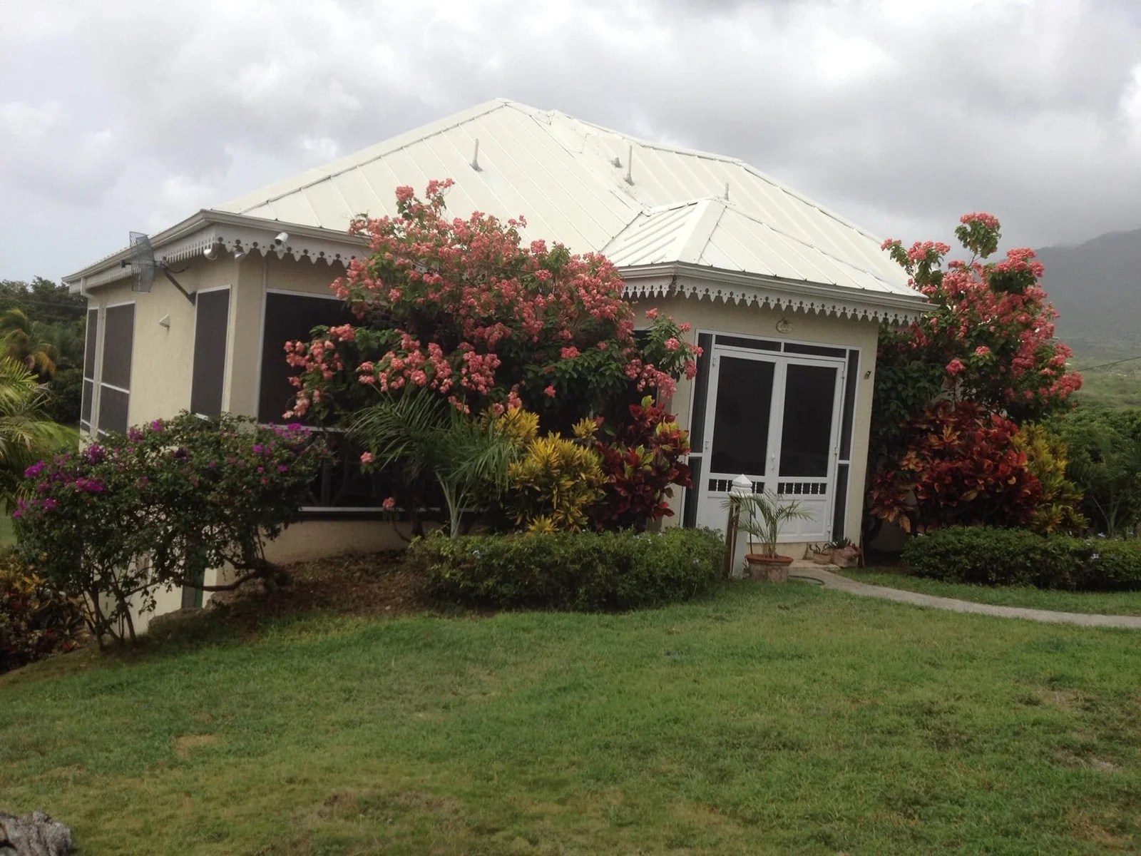 "Buccaneer Palm", Bath Estate, St. John's, Nevis 17 Degrees North
