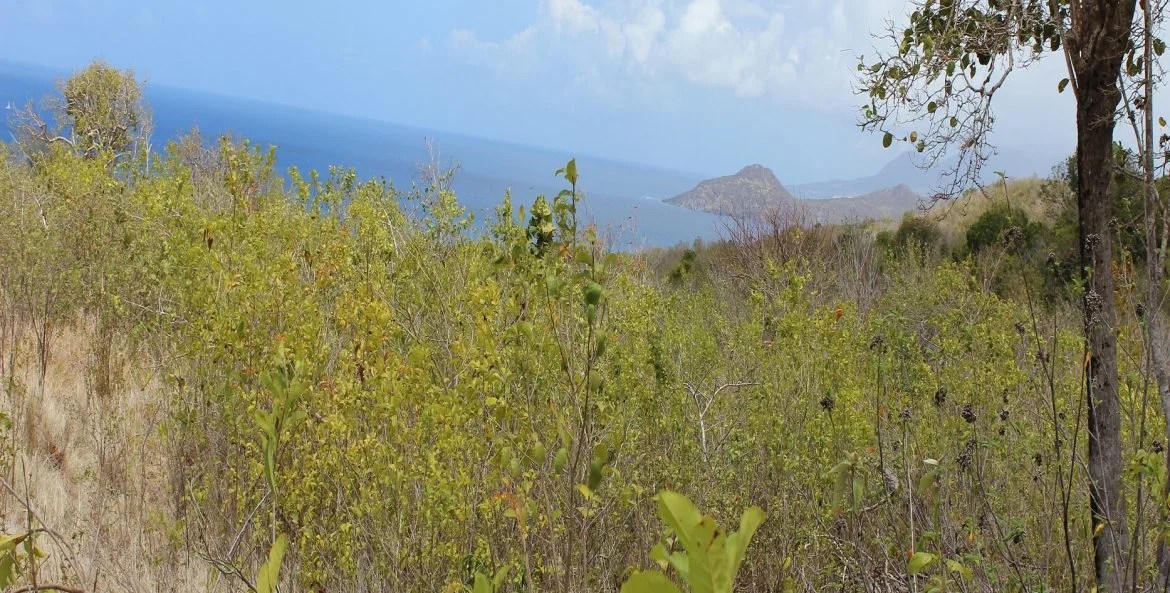 2 Acres of Land, Spring Hill, St. James, Nevis 17 Degrees North Realtors