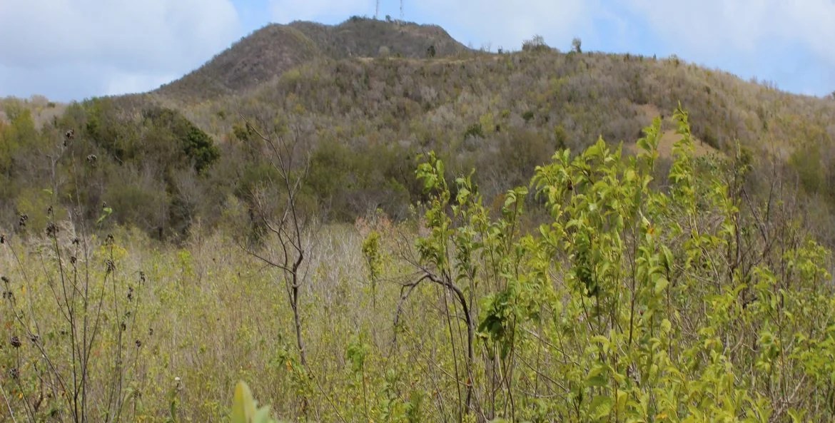 2 Acres of Land, Spring Hill, St. James, Nevis 17 Degrees North Realtors