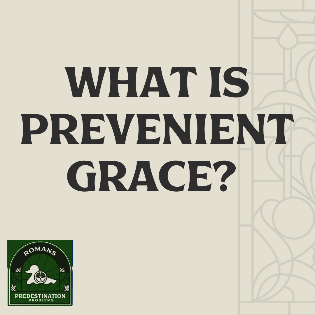 What is prevenient grace? RealFaith