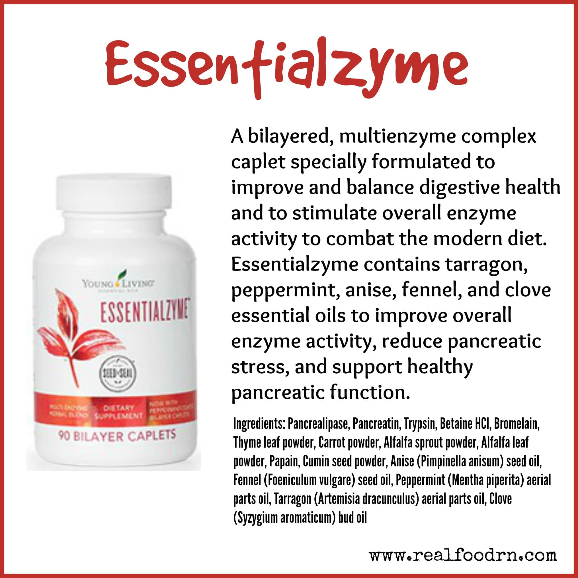 Essentialzyme Real Food RN