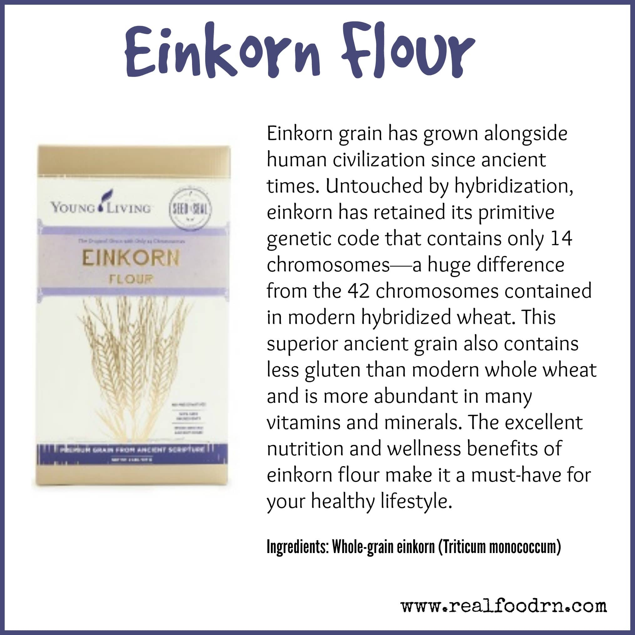 Einkorn Flour Real Food RN
