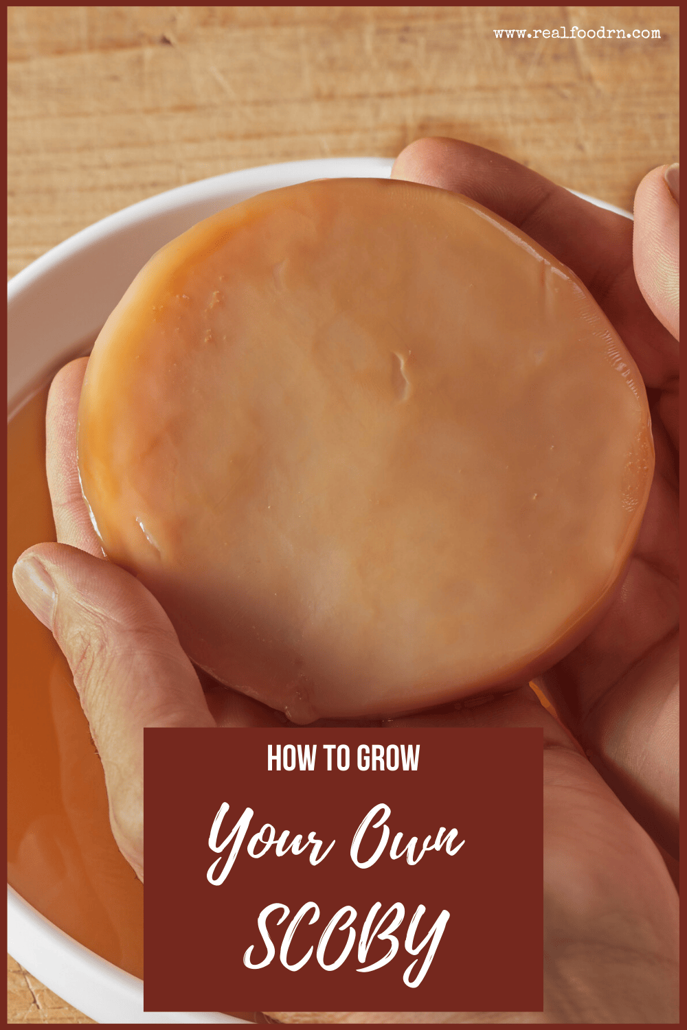 How to Grow Your Own SCOBY Real Food RN