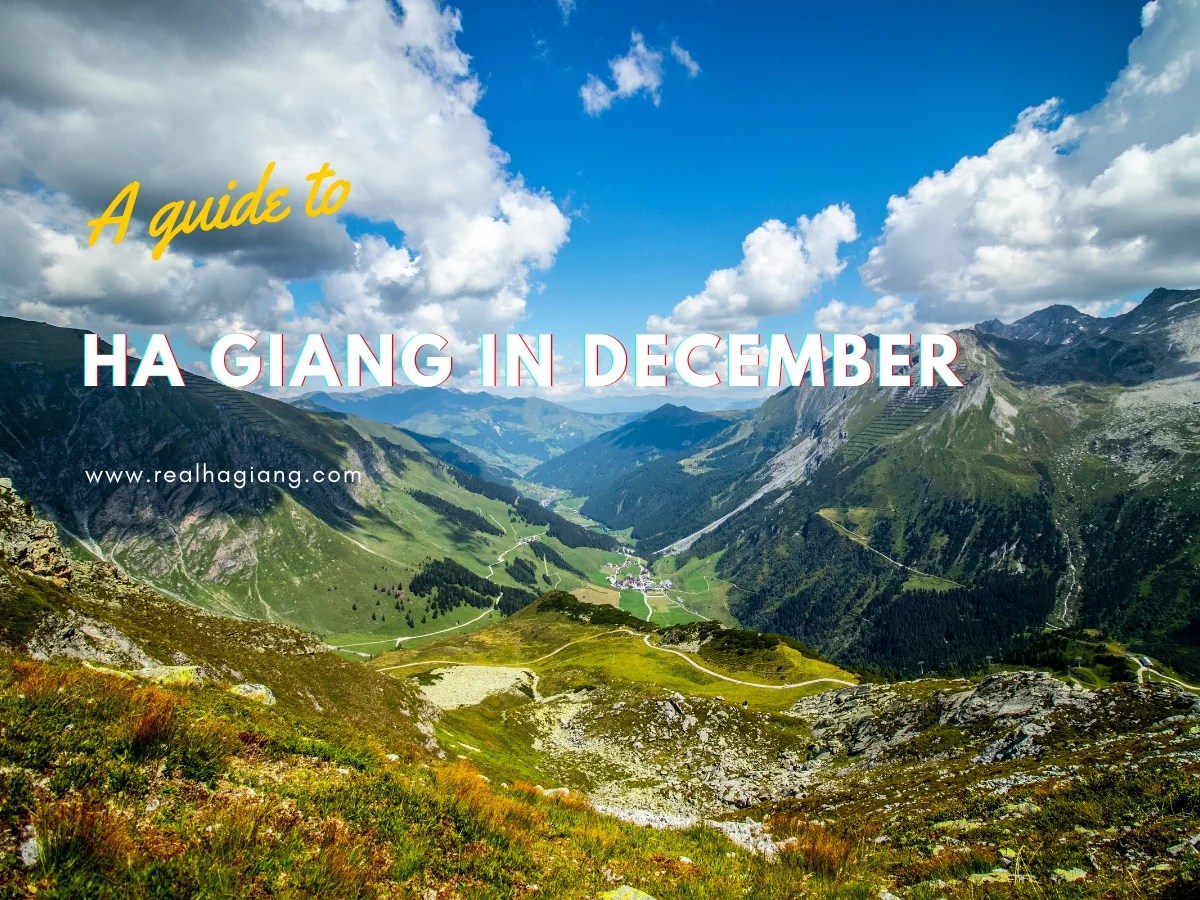 Ha Giang In December Exploring The Land Of Mysterious Beauty