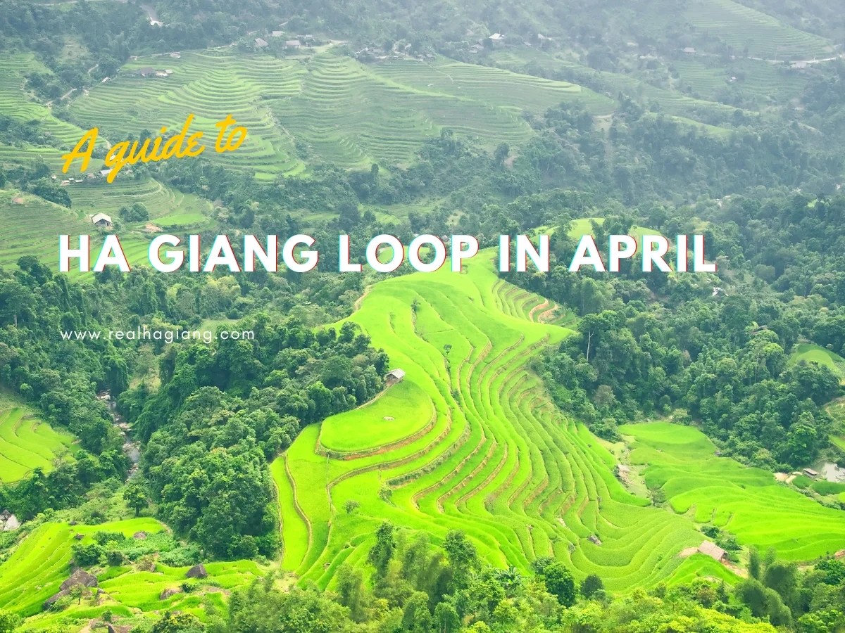 Adventurous Ha Giang Loop In April Experience The Best Of Vietnam