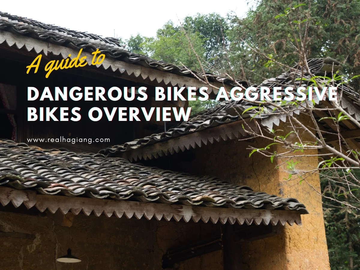 Immerse Yourself Dangerous Bikes Aggressive Bikes Overview