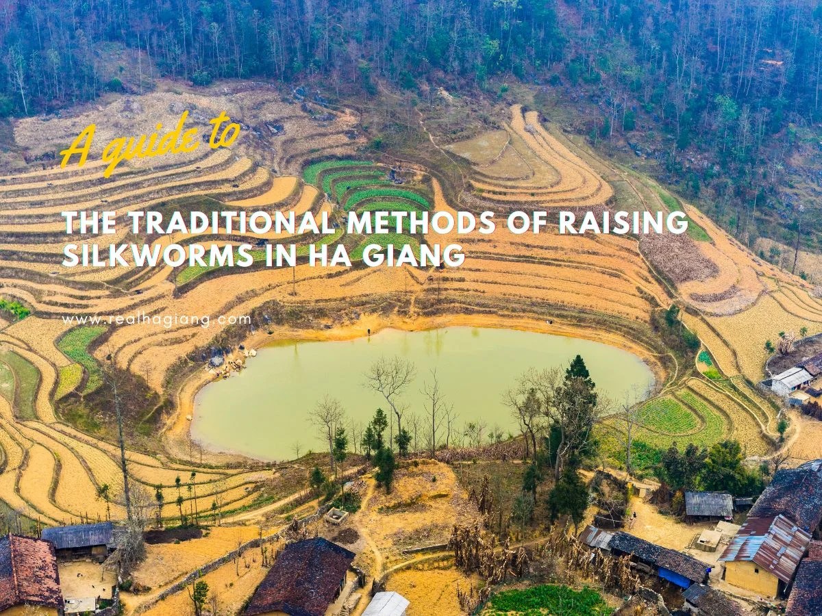 Unleashing The Silk Symphony Embracing The Traditional Methods Of Raising Silkworms In Ha Giang