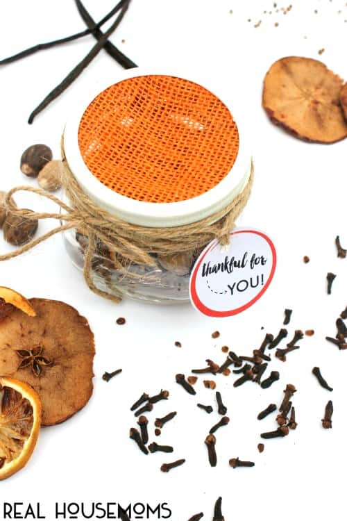 DIY Fall Potpourri Gift Idea ⋆ Real Housemoms