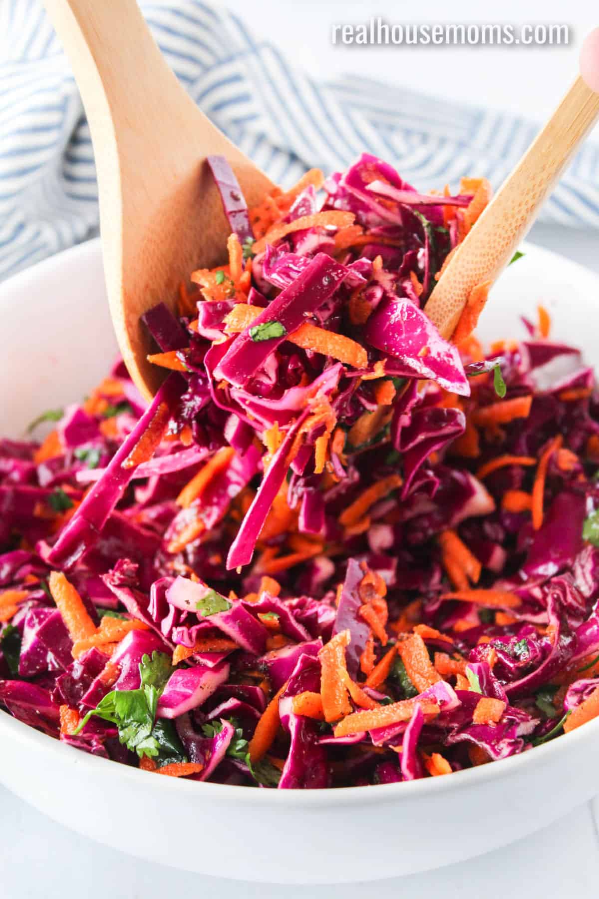 Tangy Red Cabbage Slaw Recipe ⋆ Real Housemoms