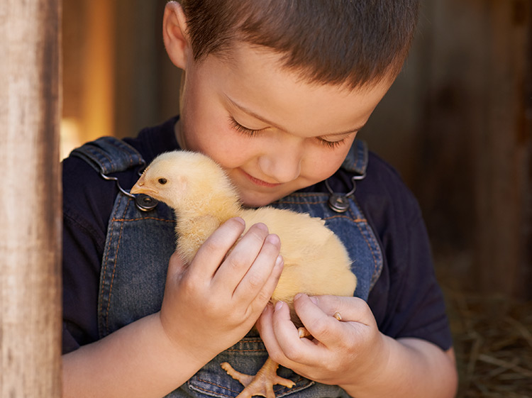 Twin Cities Spring Baby Animals Festival 2018 Real Housewives of Minnesota