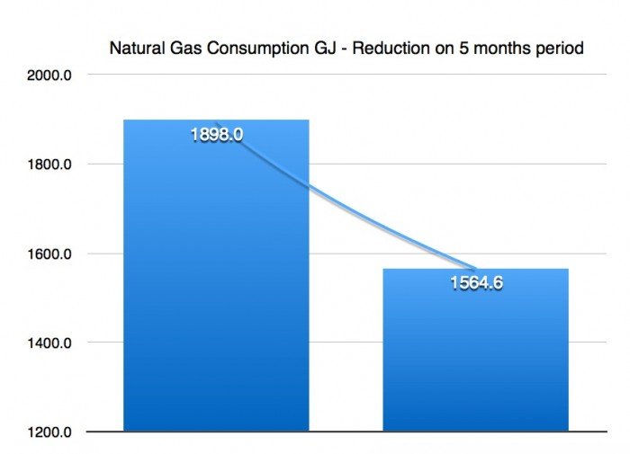 Natural Gas Savings REALice®