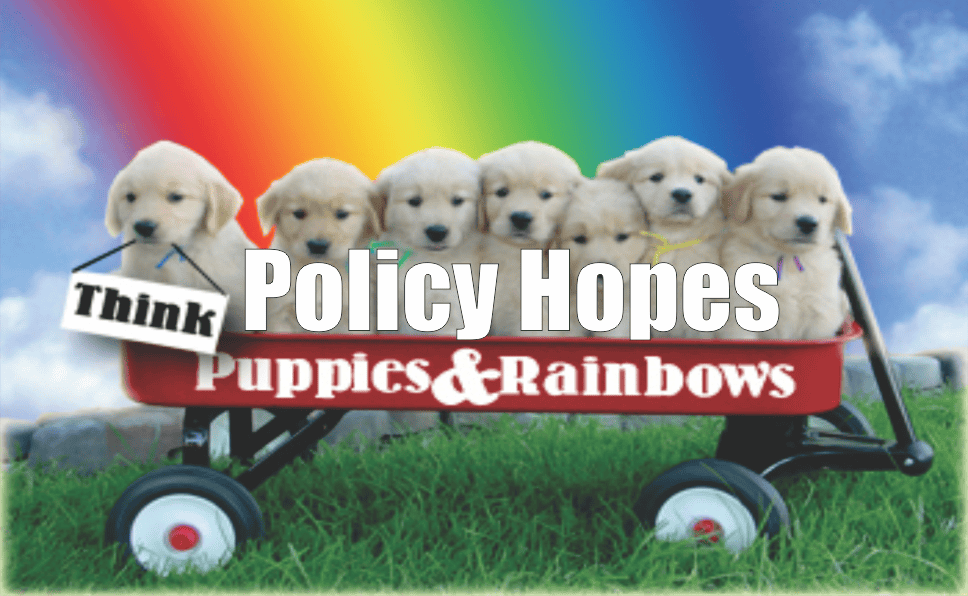 3 Things Policy Hopes, Puppies & Rainbows RIA