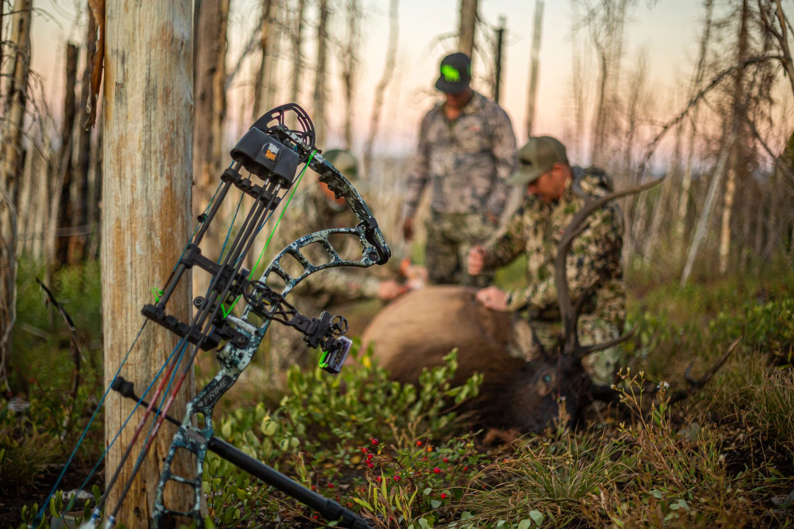 What Makes Good Bow Sight Indispensable For Elk Hunting? Reality Paper