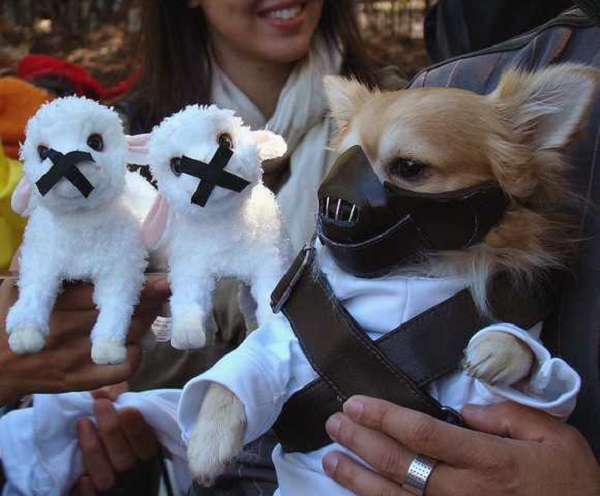 7 Creepy Halloween Costumes For Your Dog This Year REALITYPOD