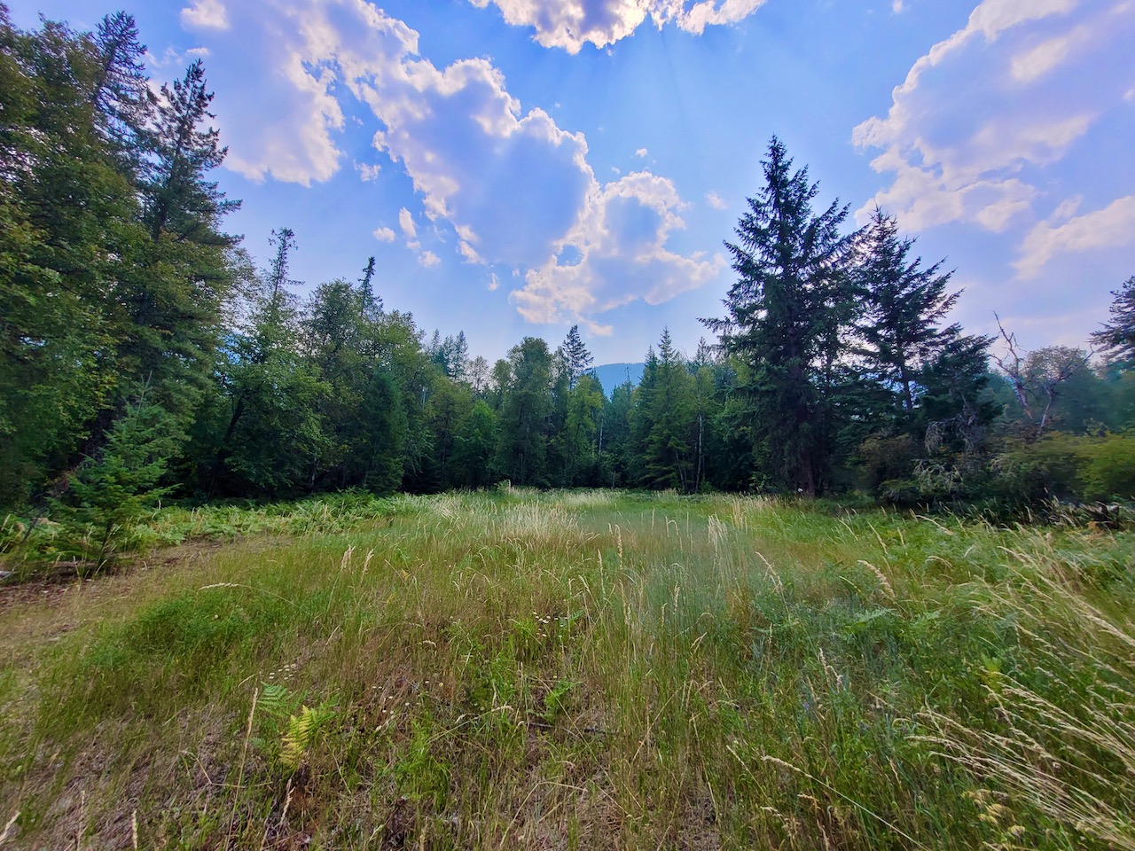 SOLD Harrop BC 6520 HarropProcter Road Real Kootenays