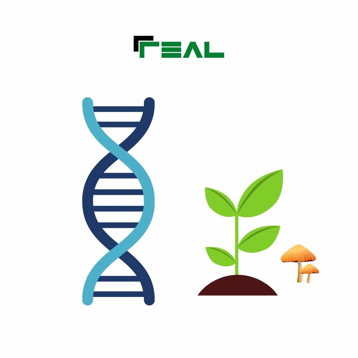 REAL Plant DNA Kit Real Laboratory